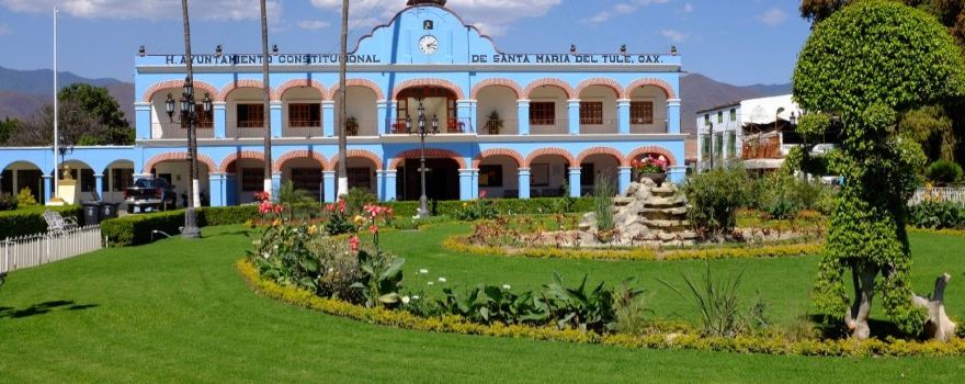 Santa María del Tule