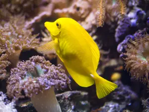 SEA LIFE Timmendorfer beach