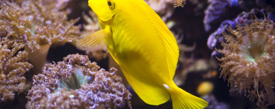 SEA LIFE Timmendorfer beach