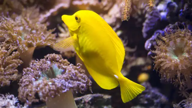 鄰近SEA LIFE Timmendorfer Strand的酒店