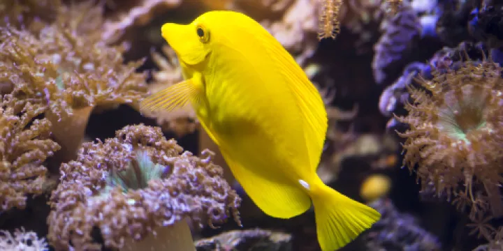 SEA LIFE Timmendorfer Strand