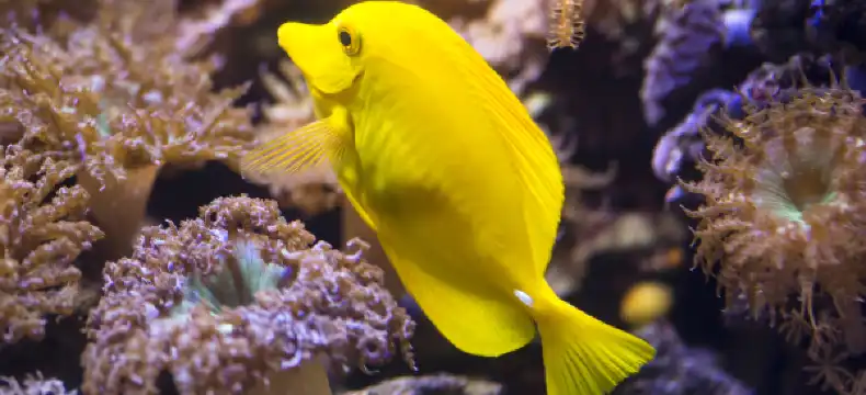 鄰近蒂門多弗海灘的酒店