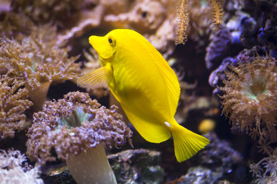SEA LIFE Timmendorfer beach