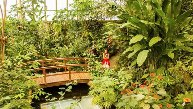 Mariposario Del Drago