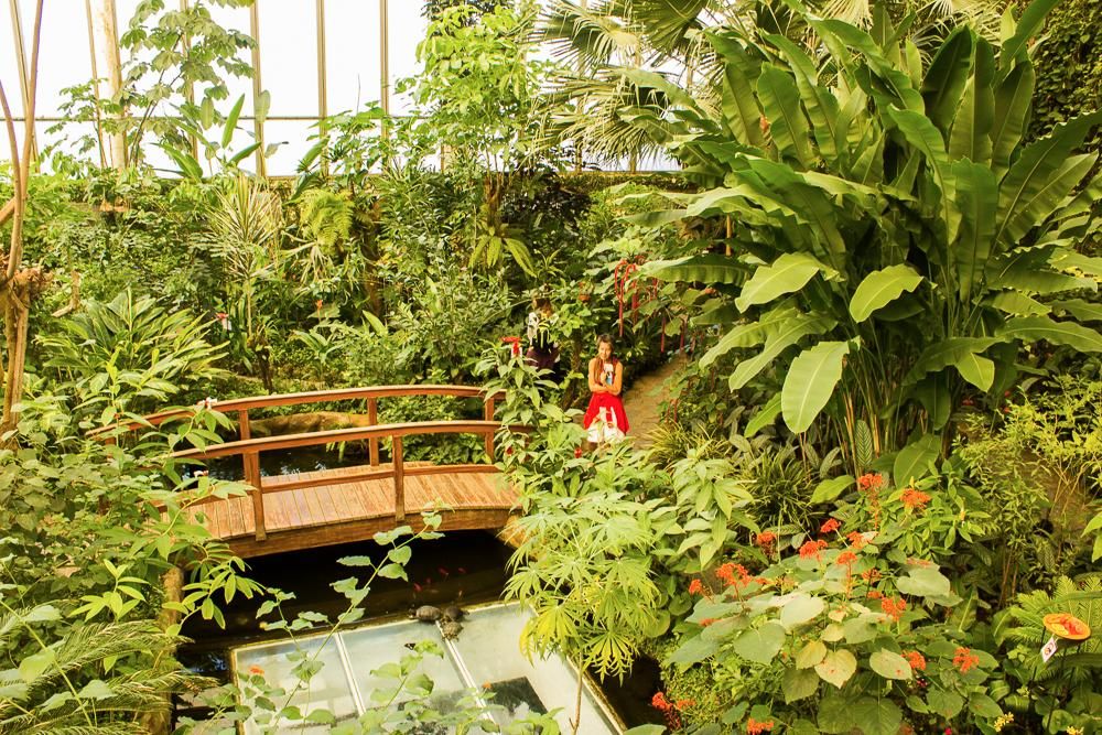 Mariposario Del Drago