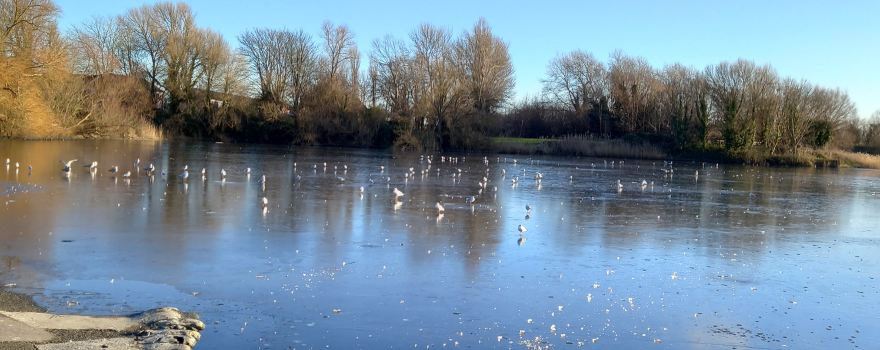 Apex Leisure & Wildlife Park