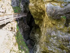 Vorderkaserklamm