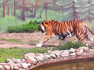 Zoo Zamosć