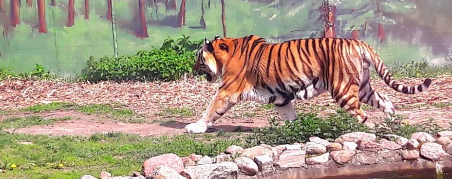 Zoo Zamosć