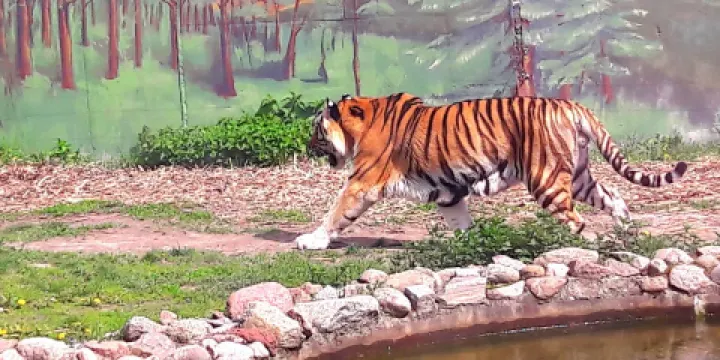Zoo Zamosć