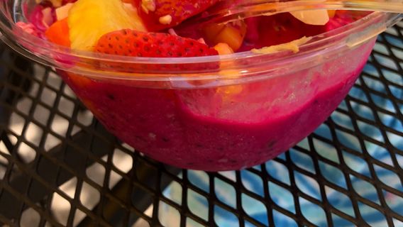 Savannah's Playground