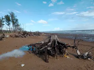 Tajpur Beach