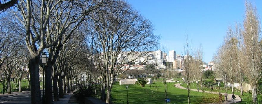 Felicio Loureiro Urban Park