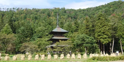 安久津八幡神社