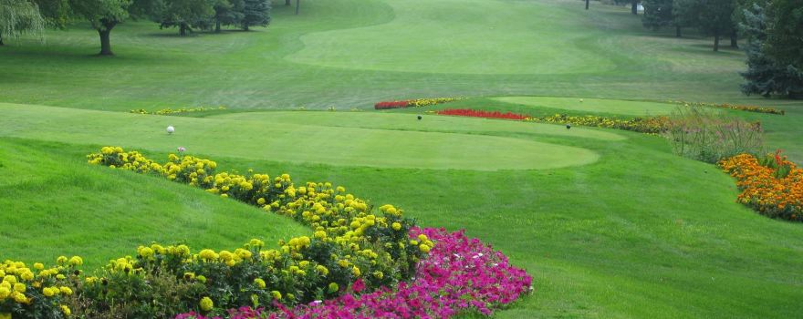 Brooks Golf