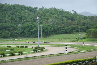 Hipodromo Camarero