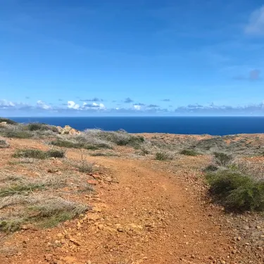 Paradera