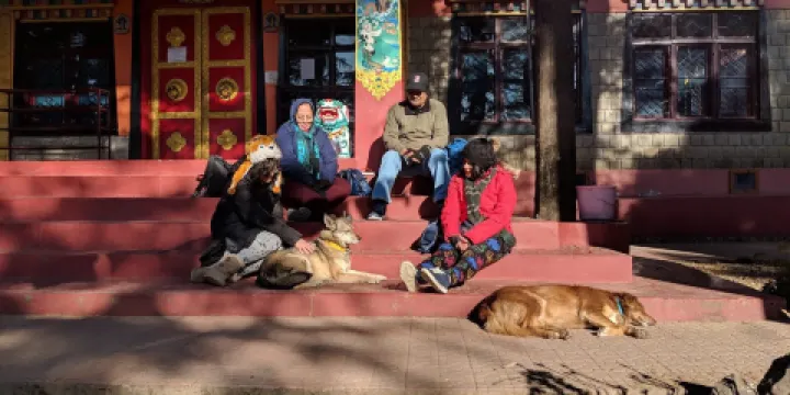 Tushita Meditation Centre