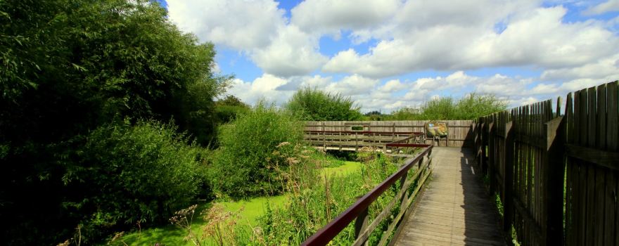 RSPB Rye Meads