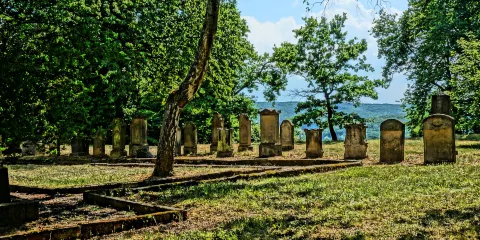 Judischer Friedhof auf dem Domberg