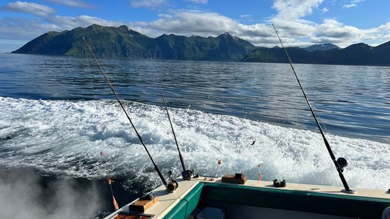 Captain B's Alaskan C's Fishing Adventure