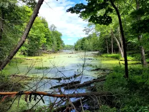 Murphys Point Provincial Park