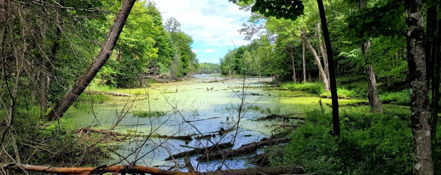 Murphys Point Provincial Park