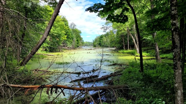 Murphys Point Provincial Park