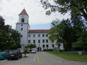 Ormoz Castle
