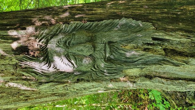 West Virginia Botanic Garden