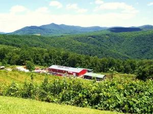The Orchard at Altapass