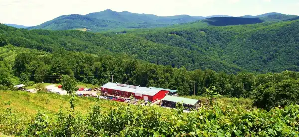 Hotels in McDowell County