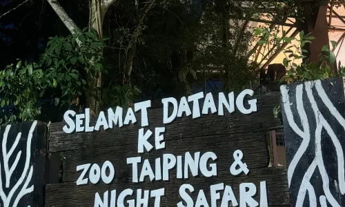 Zoo Taiping & Night Safari