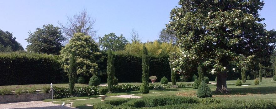 Chateau d'Olce
