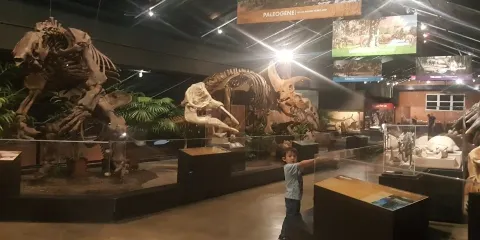 Houston Museum of Natural Science at Sugar Land