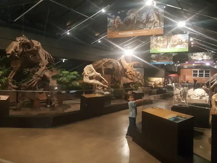 Hotels in der Nähe von Houston Museum of Natural Science at Sugar Land