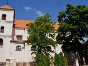 Trakai Church of the Visitation of the Blessed Virgin Mary