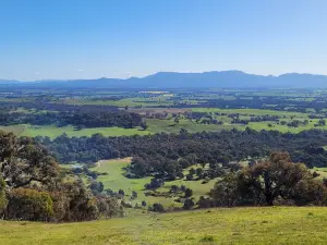 One Tree Hill Lookout