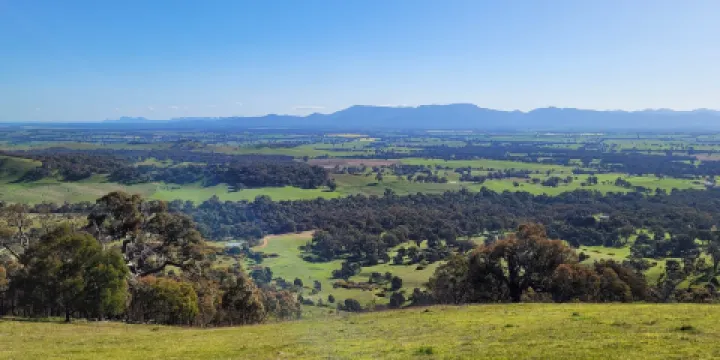 One Tree Hill Lookout