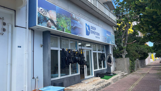 Deep Emotion Diving Service
