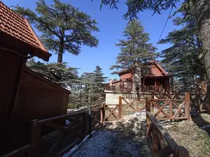 Kızıldag Milli Parki