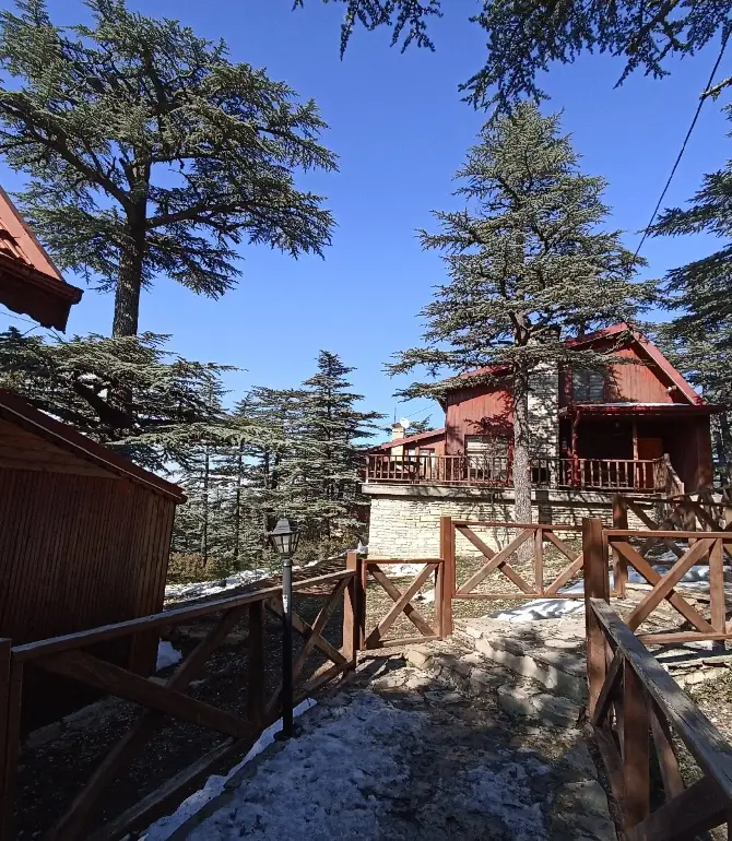 Şarkikaraağaç