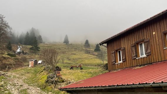 Ferme du Saichy