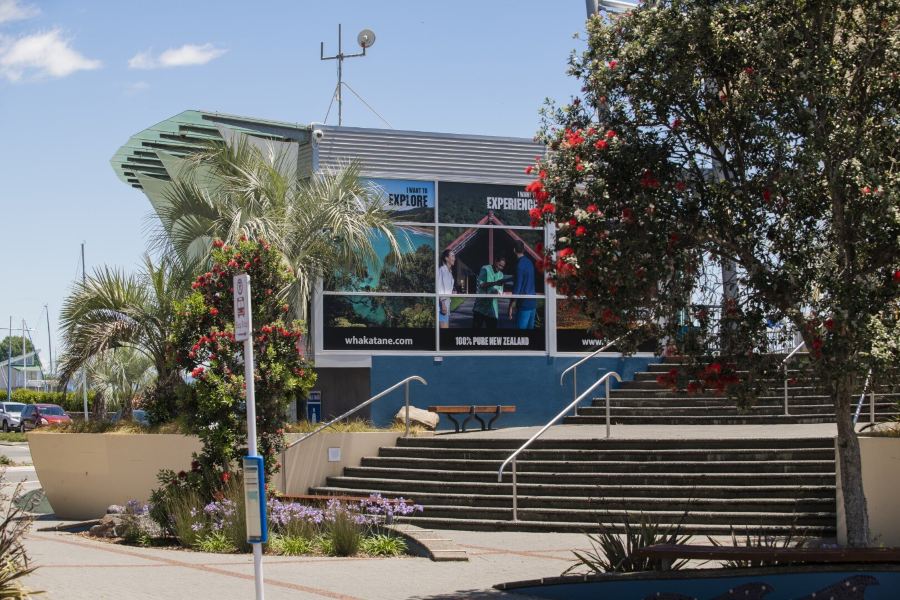 Riyadh to Whakatane Flights