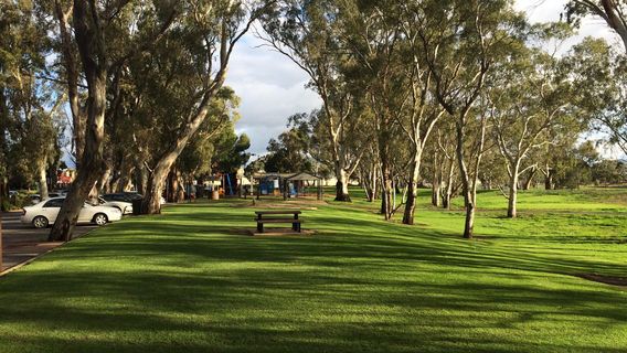 Nuriootpa Linear Park