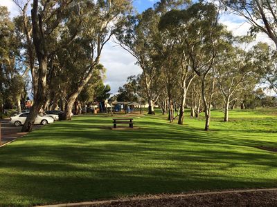 Nuriootpa Linear Park