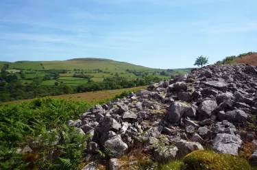 Llangadog