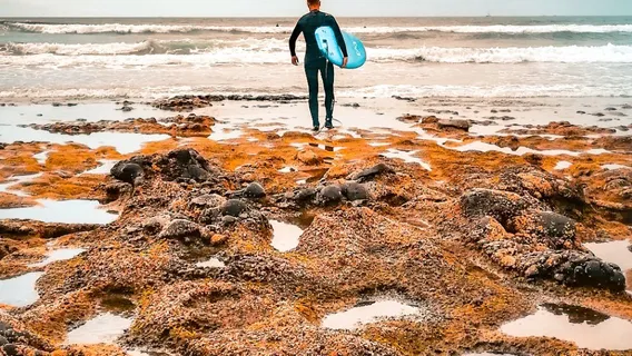 Kontraola - Tenerife Surf School powered by Quiksilver and Roxy