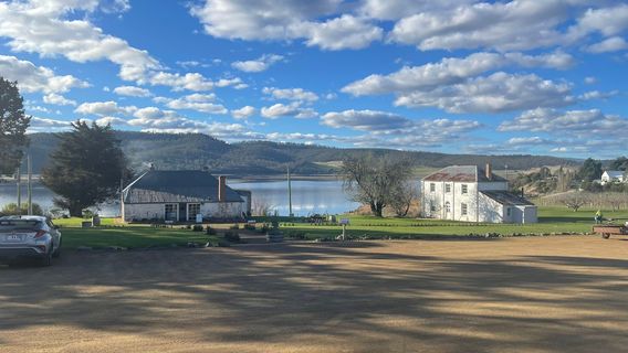 Derwent Estate Vineyard
