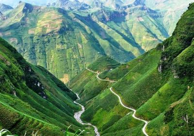 Thanh Hoa